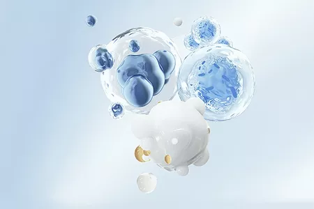 稳定性与生物活性的平衡